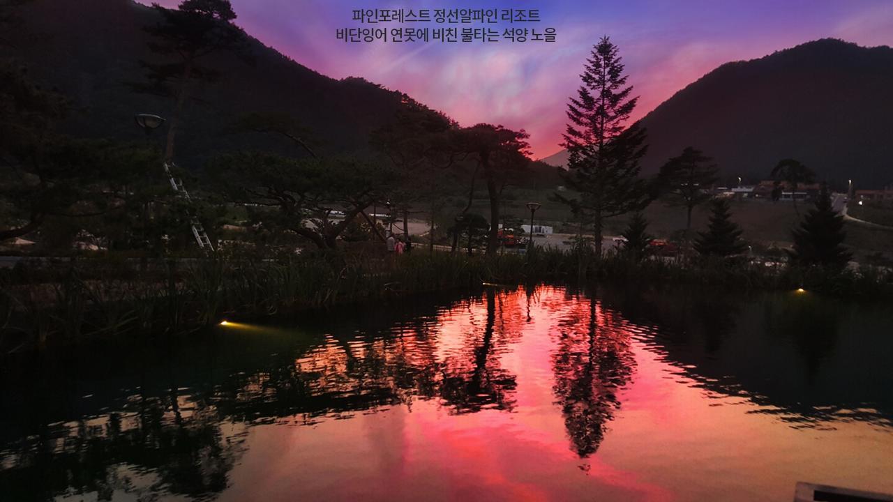 Pine Forest Jeongseon Alpine Resort Zewnętrze zdjęcie